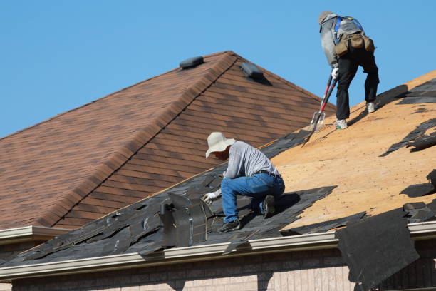 Best Roof Maintenance and Cleaning  in Norton Shores, MI